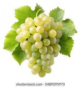 9lluzh80