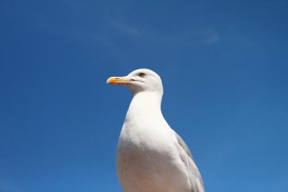 lw7l39